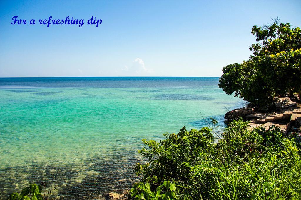 Sunshine Lodge: Your Home Away From Home Montego Bay Zewnętrze zdjęcie