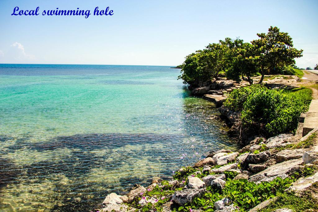 Sunshine Lodge: Your Home Away From Home Montego Bay Zewnętrze zdjęcie