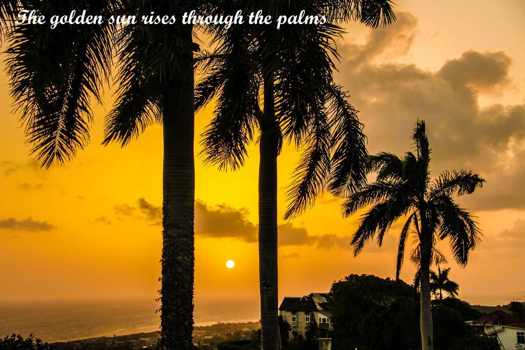 Sunshine Lodge: Your Home Away From Home Montego Bay Zewnętrze zdjęcie