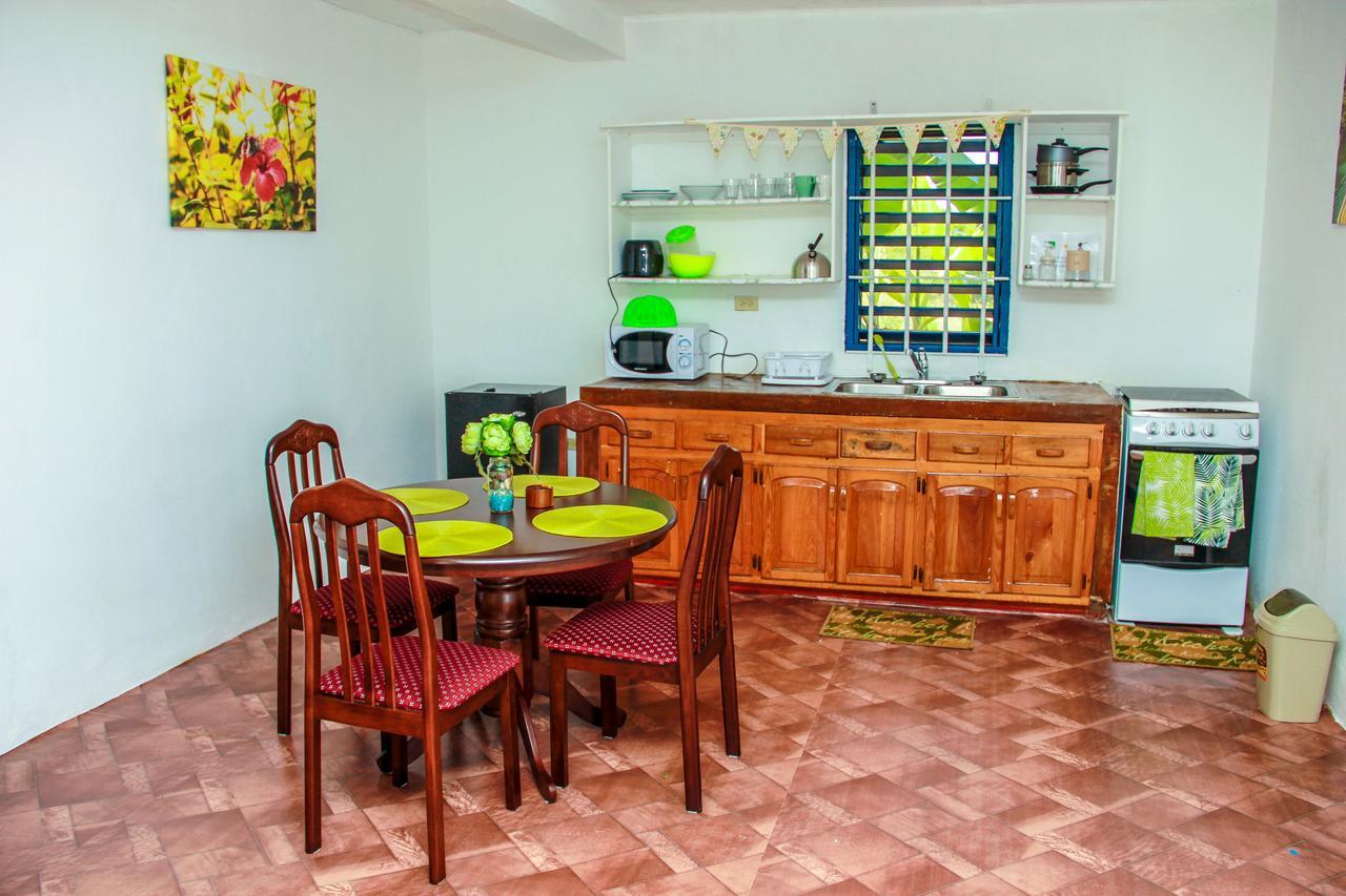 Sunshine Lodge: Your Home Away From Home Montego Bay Zewnętrze zdjęcie