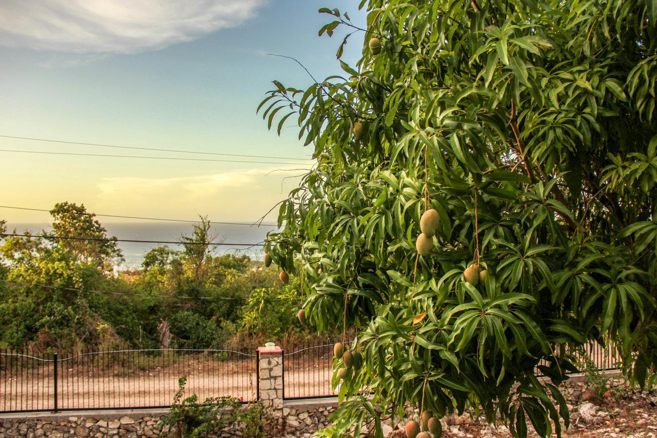 Sunshine Lodge: Your Home Away From Home Montego Bay Zewnętrze zdjęcie