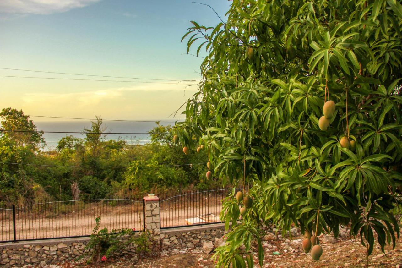 Sunshine Lodge: Your Home Away From Home Montego Bay Zewnętrze zdjęcie