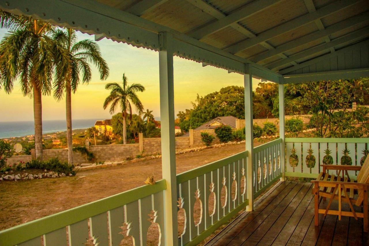 Sunshine Lodge: Your Home Away From Home Montego Bay Zewnętrze zdjęcie