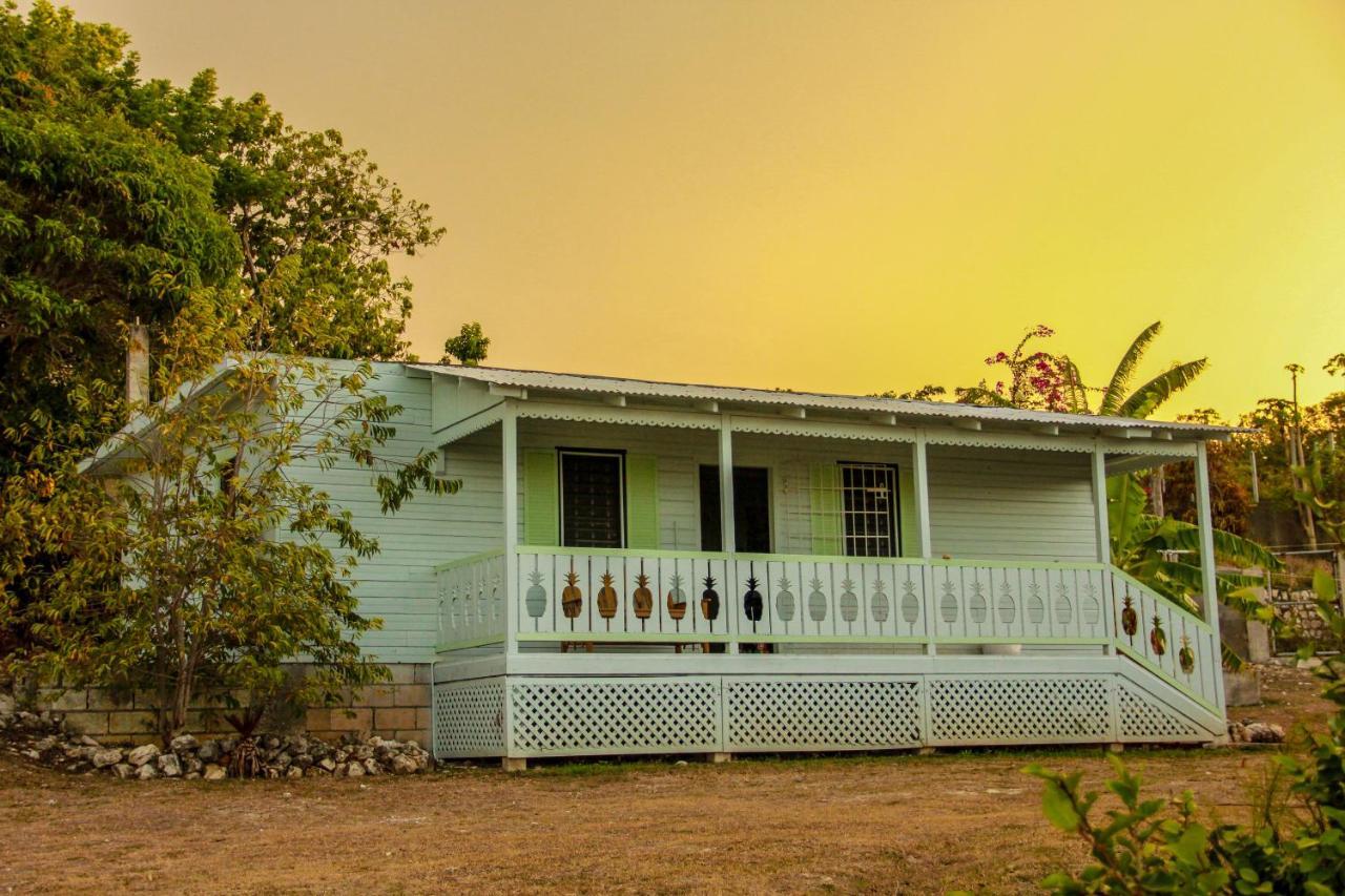 Sunshine Lodge: Your Home Away From Home Montego Bay Zewnętrze zdjęcie