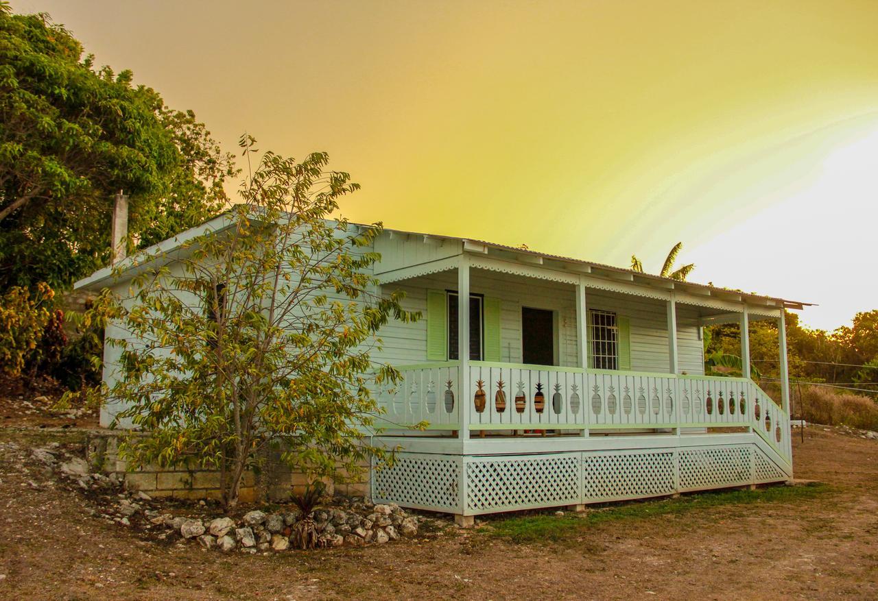 Sunshine Lodge: Your Home Away From Home Montego Bay Zewnętrze zdjęcie