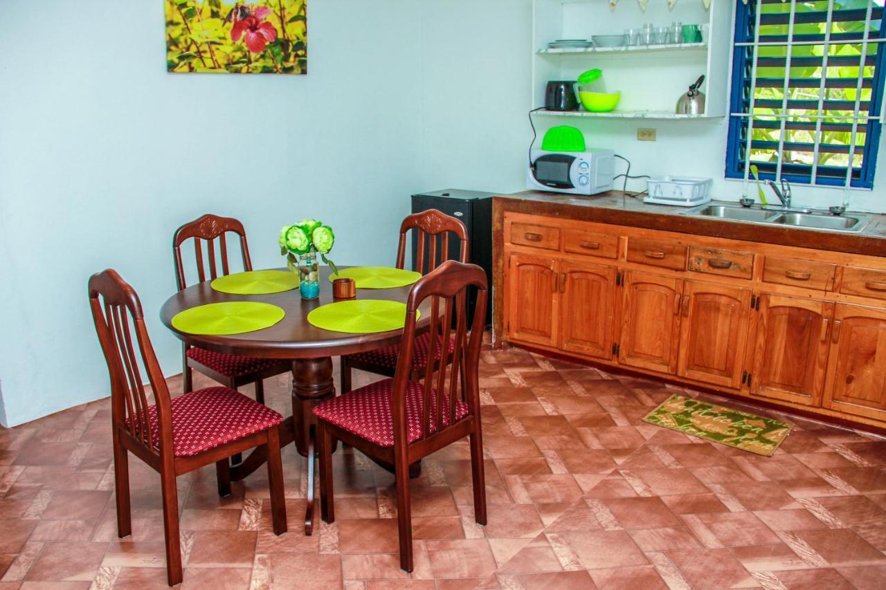 Sunshine Lodge: Your Home Away From Home Montego Bay Zewnętrze zdjęcie