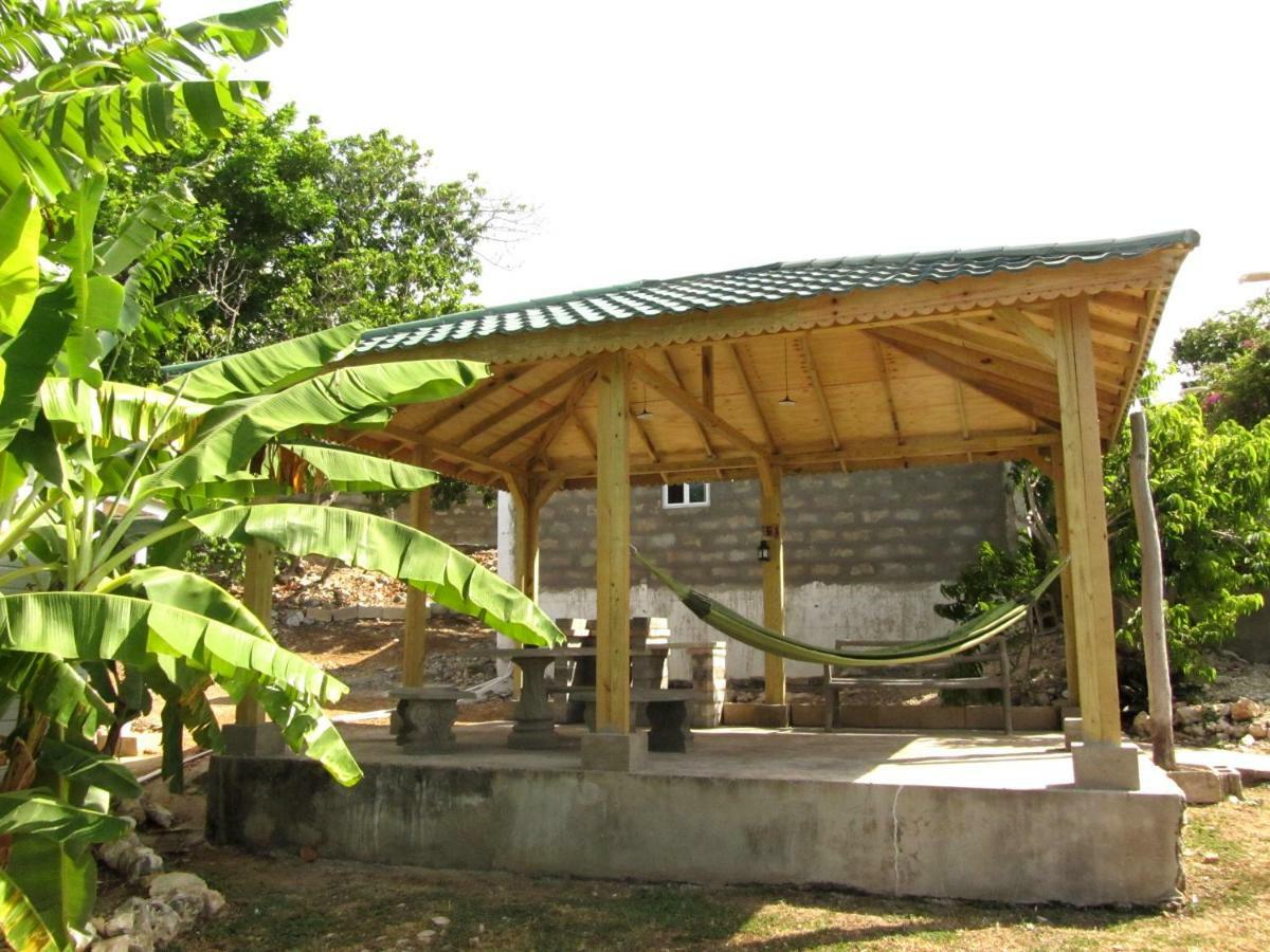 Sunshine Lodge: Your Home Away From Home Montego Bay Zewnętrze zdjęcie